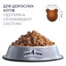 Клуб 4 лапи Premium
