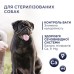 Adult Small Breeds Light Сухий корм з високим вмістом індички для дорослих собак малих порід - контроль ваги